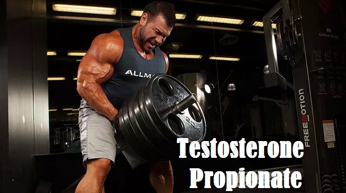 testosterone-propionate-irondaddy
