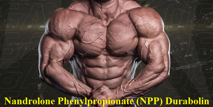 npp-durabolin-nandrolone-phenylpropionate-iron-daddy