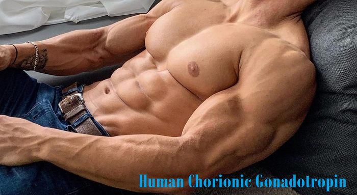 Human-Chorionic-Gonadotropin-HCG-iron-daddy