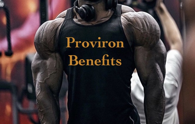 Proviron-benefits-irondaddy