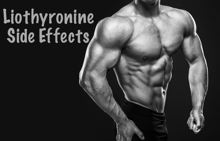 liothyronine-side-effects-iron-daddy
