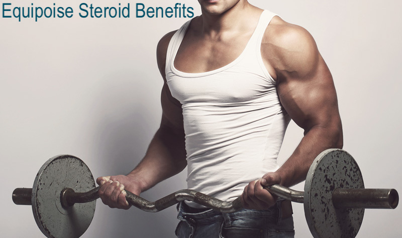 equipoise-steroid-benefits-iron-daddy