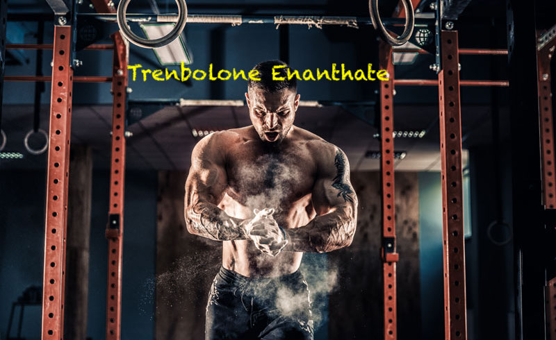 trenbolone-enanthate-iron-daddy