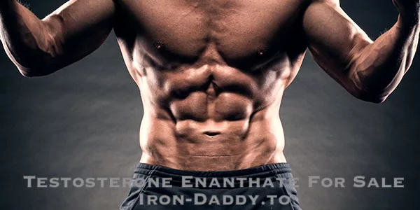 testosterone-enanthate-for-sale-iron-daddy