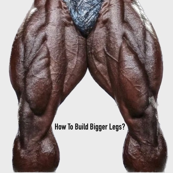 How To Build Bigger Legs Iron Daddy